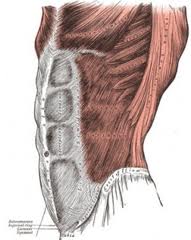 FH Tip How to Engage Your Core Effectively